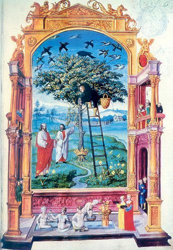 Salomon Trismosin, L'albero dei filosofi, in Splendor Solis, 1582, Londra, British Library